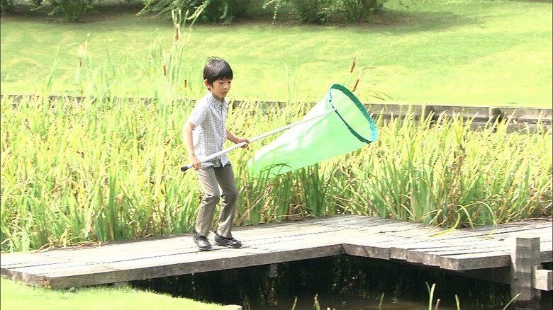 2015年9月9歳の悠仁さま