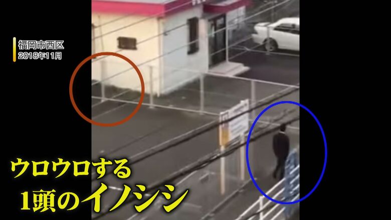 福岡市西区のJR今宿駅付近の映像(2018年11月撮影)