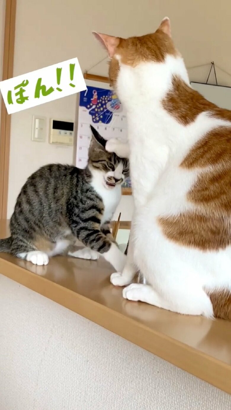 いいかげんにしなさい、とでもいうかのように