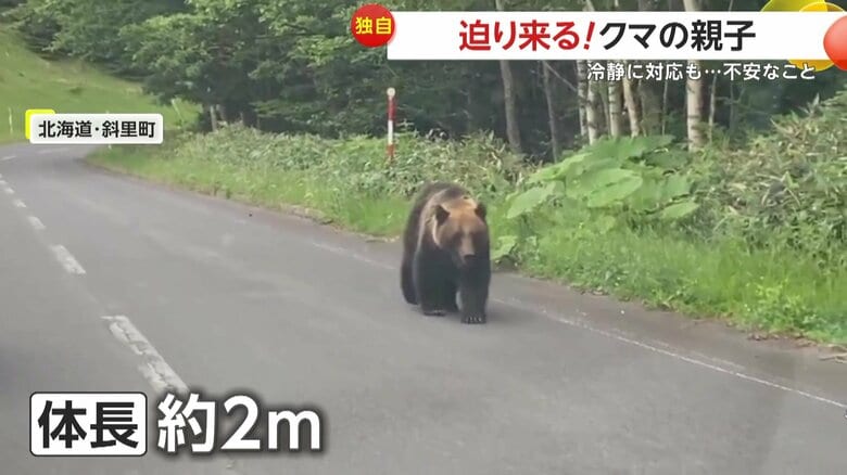 体長約2mの遭遇した親グマ