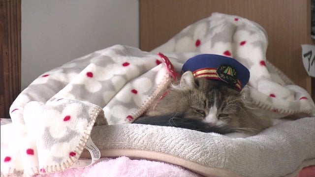 駅員の業務の見守りもお仕事…？