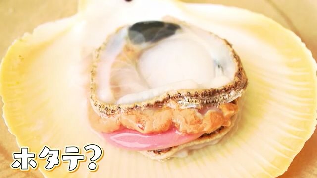 ホタテの仲間「月日貝」

