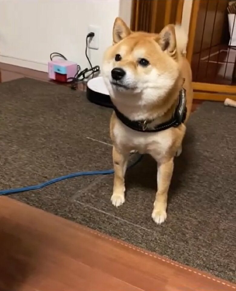 浮気現場を目撃してしまいショックを受けているかのよう