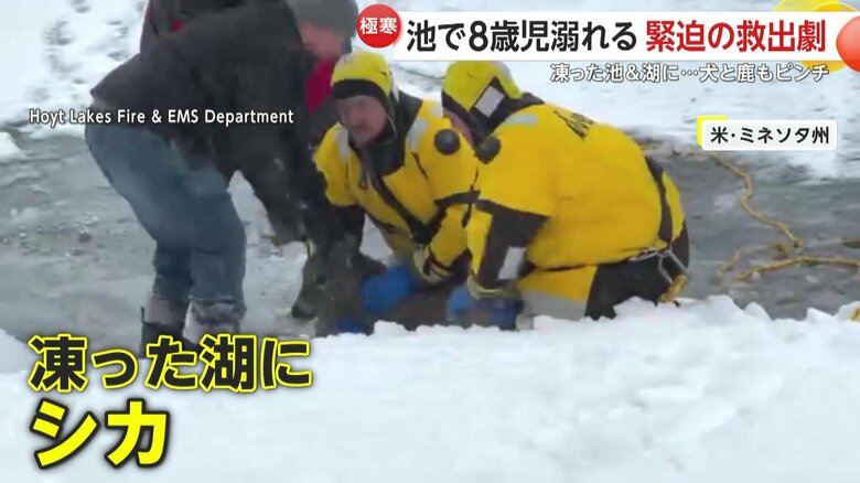 凍った湖に落ちてしまったシカ（アメリカ・ミネソタ州）