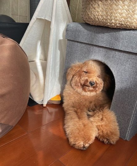 提供：ピン太郎ママさん