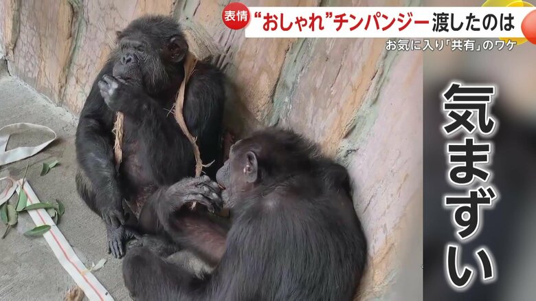 2頭の間に流れる微妙な空気