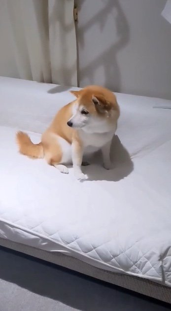 提供：natsumi.nnnさん