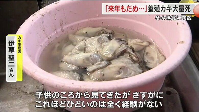 子供の頃から見てきたが…