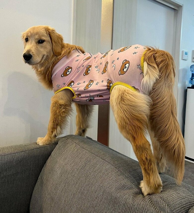 背もたれから直接おりるのは怖いという