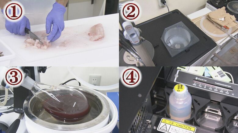 検査の工程　①検体をミンチに　②身を冷凍・乾燥・水分回収 ③有機物除去　④トリチウム濃度測定