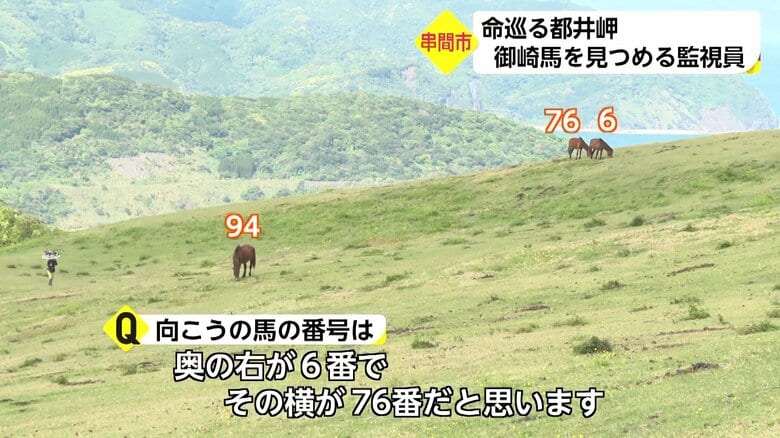 遠くからでも馬一頭一頭をばっちり把握