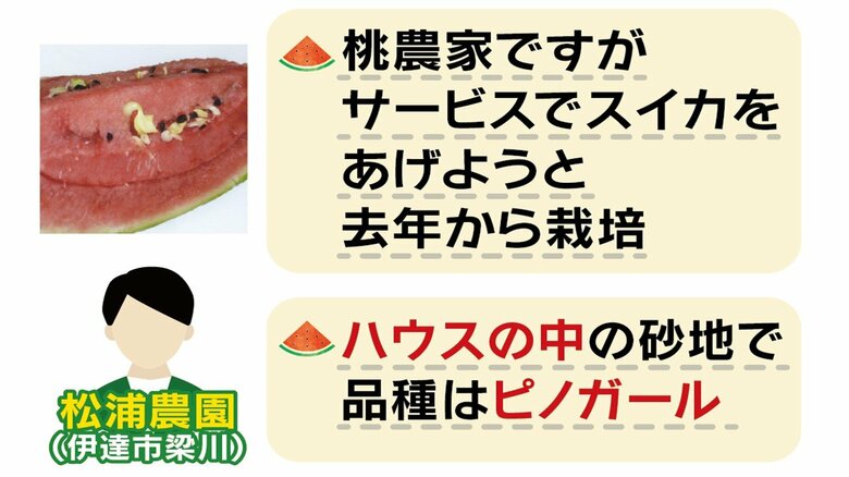 スイカを栽培したのは福島県伊達市梁川の松浦農園