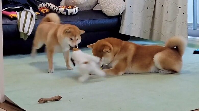 危ない！