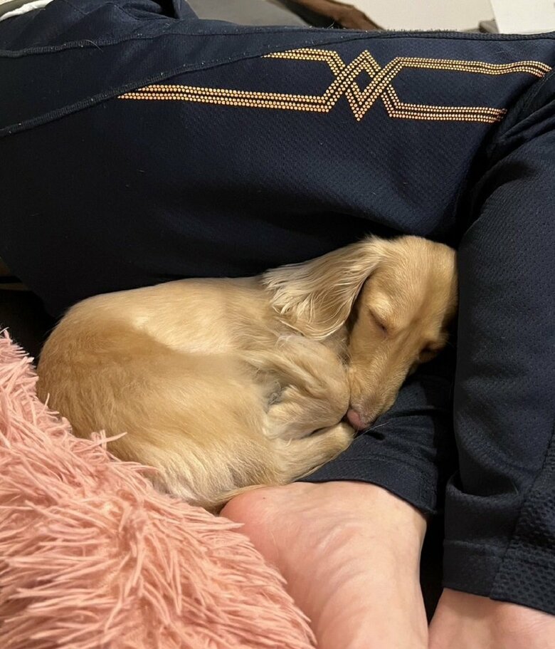 隙間に入ってピッタリくっついていたい