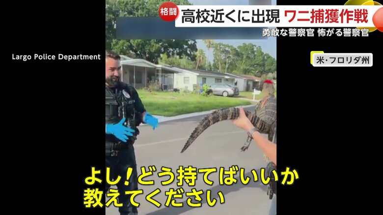 ワニの持ち方について教えを請う、男性警察官
