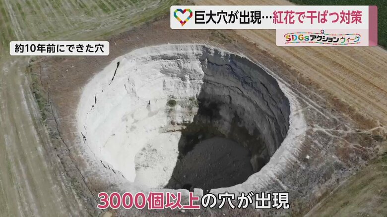 こちらは約10年前に出来た穴。この穀物地帯にはこのような穴が3000個以上もあるという