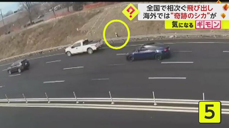 見事渡りきった！