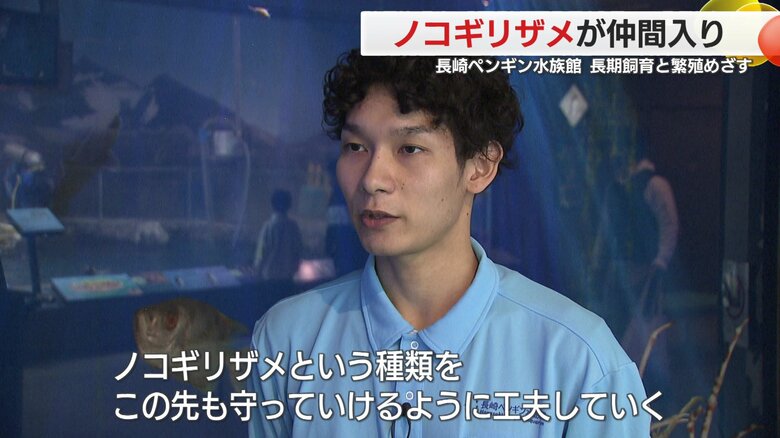 繁殖にこぎつけたいとしている