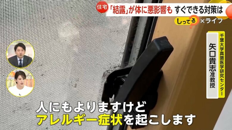 アレルギー症状を起こす原因にもなるという結露した窓