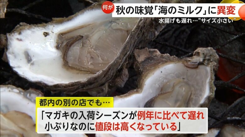 本来であれば10月頃に入荷が始まり、今の時期なら大きな身を味わえる「マガキ」