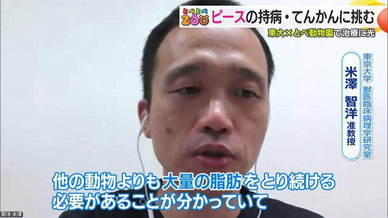 「てんかん」の原因を解明できるか