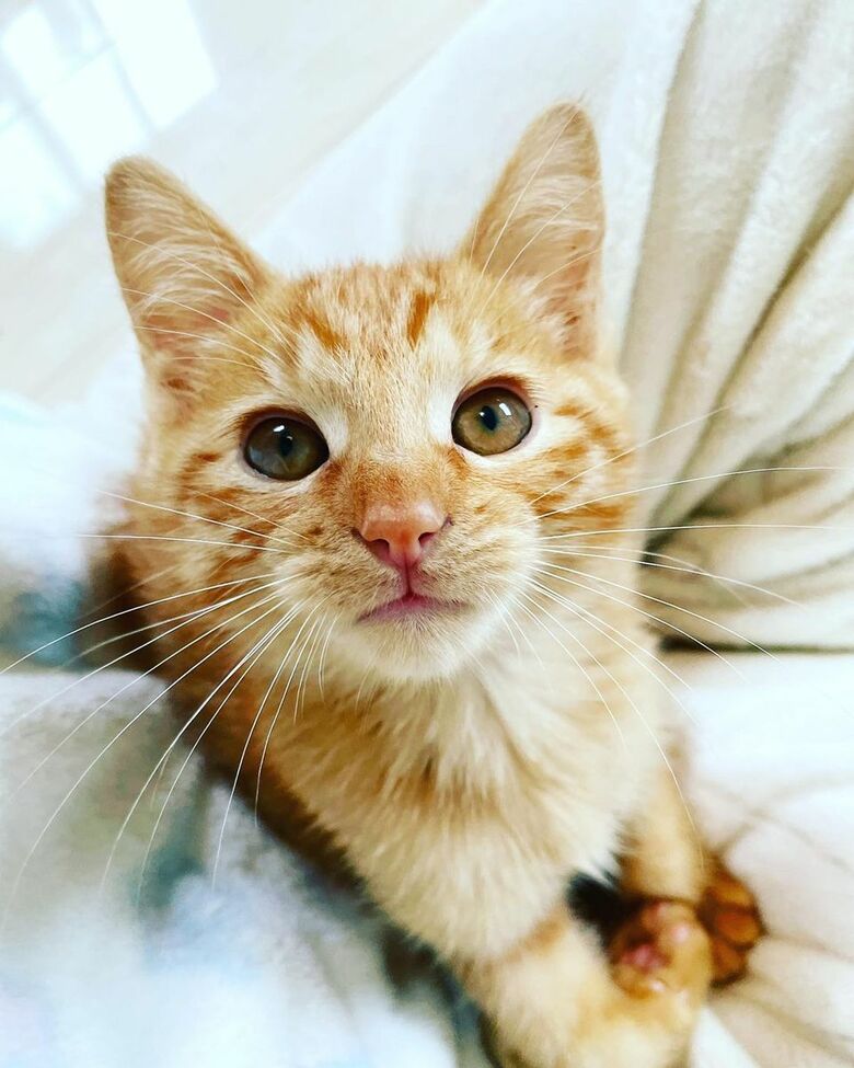 じゃじゃ丸くん（提供：oimo & yuzukiさん）