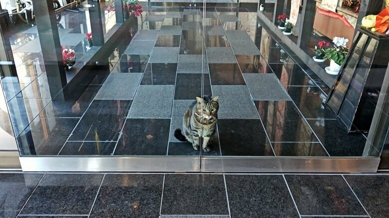 ドア前で待機中