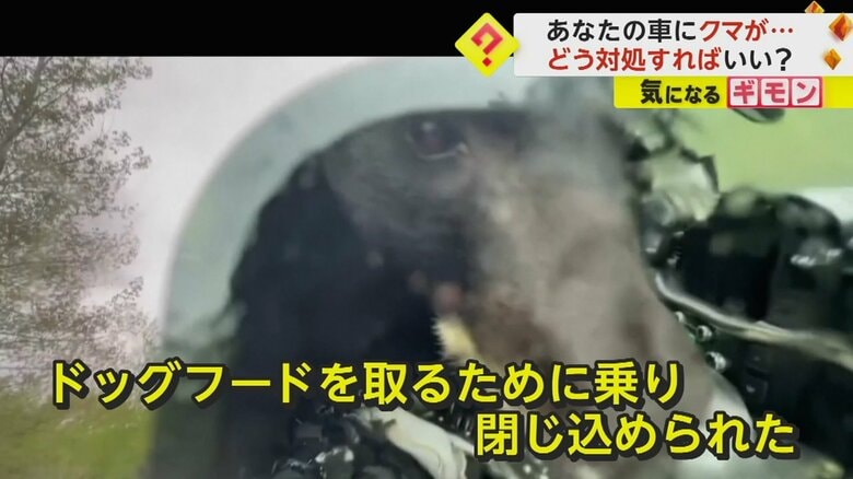 （Colorado Parks and Wildlife/TMX）