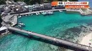 高知・柏島「こんなきれいな海初めて」透明度抜群の絶景＆野生の親子イルカに全国から観光客
