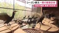 鵜匠代表「酷暑の時代は鵜にも負荷が…」岐阜市の長良川鵜飼が閉幕し鵜の健康診断 獣医師が体重測定や予防接種