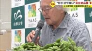 開発期間は約20年　山形大学元客員教授が「茶豆新品種」を開発　“甘み強くさやぞろいが良い”のが特徴【山形発】