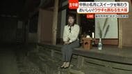 きょう「中秋の名月」　松尾芭蕉も愛でた福井の月の名所から生中継　体に優しい“お月見スイーツ”も