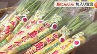 12月12日は「島にんじんの日」　産地の中城村で旬入り宣言
