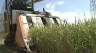 「とんでもない赤字」コメ作りやめる農家も　JA福井県が概算金示せない中…ハナエチゼンの収穫始まる　「生産原価は2万2000円」農家が苦悩