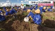 「掘れてうれしい!」旬のサツマイモ「かほっくり」の収穫を地元の子どもたちが体験