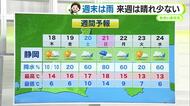 週末は雨予想　暖かい空気が流れ込むため気温は高め【静岡・ただいま天気 12/17】