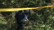 雑木林から1人の遺体　40代男性不明…別事件の供述から　千葉・市原市
