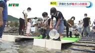 22日は海の日 長崎市の水族館で「ガザミ」を放流