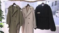 木の実由来のダウン...進む脱羽毛の流れ 一歩進んだサステイナブルとは