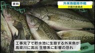 ブラックバスやブルーギルなどの外来魚を駆除せよ!小田川合流点付替え事業【岡山・倉敷市】