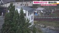 冬眠はまだ先…熊に警戒する温泉旅館　観光地は苦悩　クマ対策で問い合わせ　花火の需要が増加