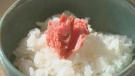 米の消費量が減少…精米店が生き残りをかけてコメにあう「おかず」を紹介【石川発】
