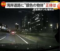 「突然のことで驚いた」湾岸道路で“銀色の物体”に乗り上げ　交差点を曲がると逆走車にバッタリ「70代くらいの男女」