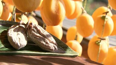 JAL客室乗務員が体験 全て手作業の干し柿づくり 太陽の光浴びて輝くオレンジのカーテン【島根発】