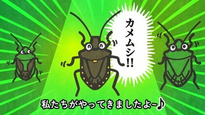 今年は特に多い？カメムシが冬の準備”で家の近くにいる可能性も…全国で増えたと感じる「2つの背景」
