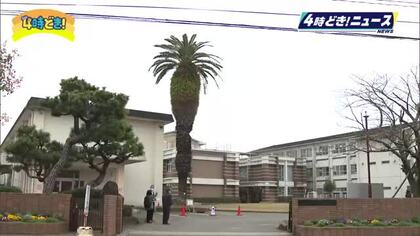 学校のシンボル　フェニックスの木を伐採へ　恒久小学校でお別れの会