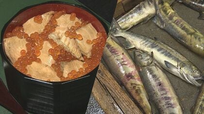 伊達政宗も食べた「はらこ飯」に“異変”　秋サケ記録的不漁で水揚げ前年1割に満たず…郷土の誇り守れるか