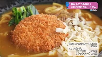 とろとろの豚なんこつ　カレーうどん専門店　わしの脇腹【トレリン】