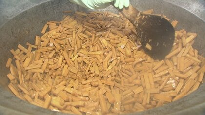 国産メンマが森を救う? 「伐採して食べる」一石二鳥のアイディア