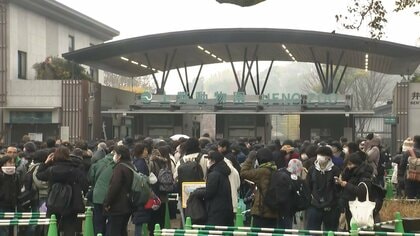 上野のパンダ“予約なし観覧”最終日で大行列　23日からはネットでの事前申し込みが必要…最終日は2026年1月25日